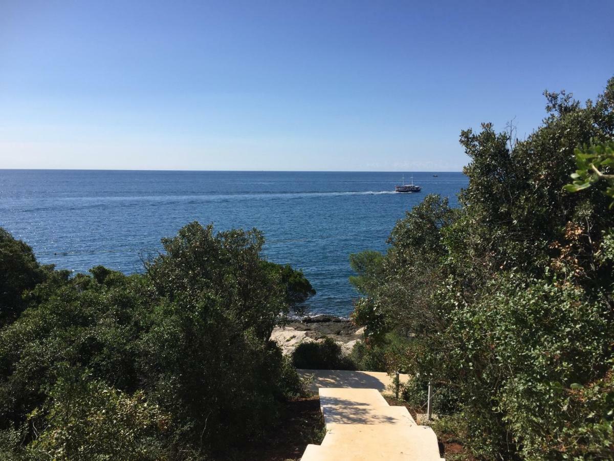 Apartment Balthazar Rovinj Eksteriør billede